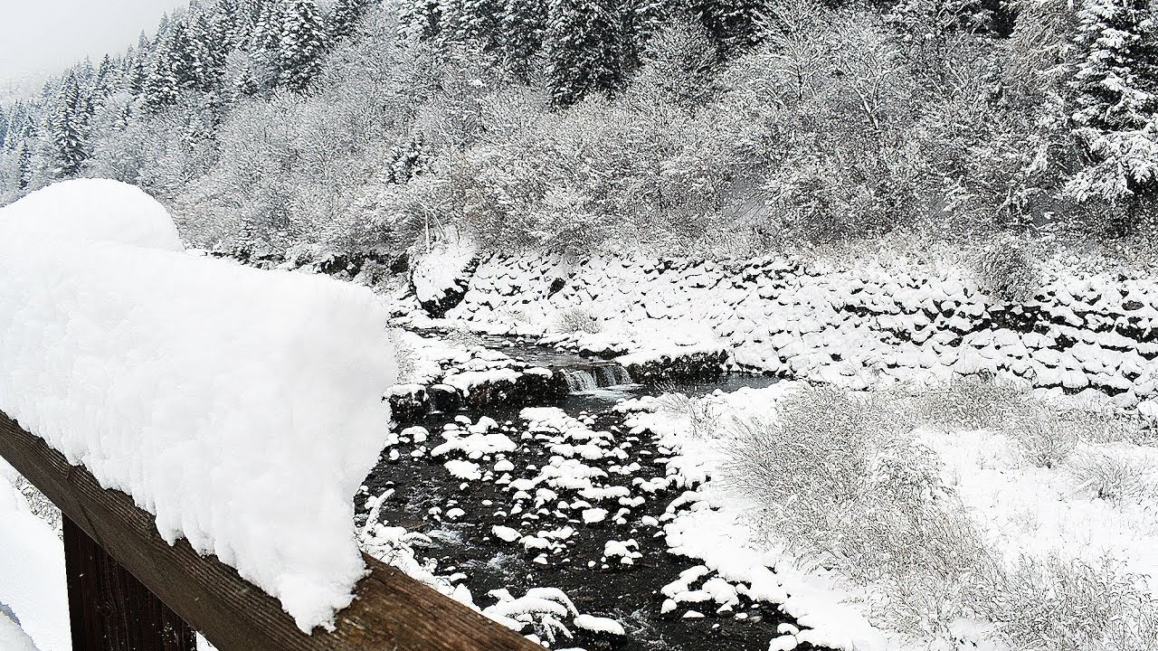 Neve in montagna 2017 - Video relax, la neve che cade sugli alberi e nell'acqua - Torrenti innevati