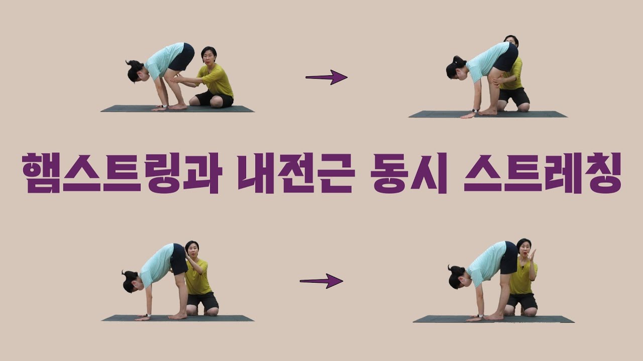 [마름모코어 시즌 1-284] 틀을 잡는 허벅지 근육 /  햄스트링과 내전근을 동시에 스트레칭하면 골반 중립과 고관절굴곡에 도움이 됩니다