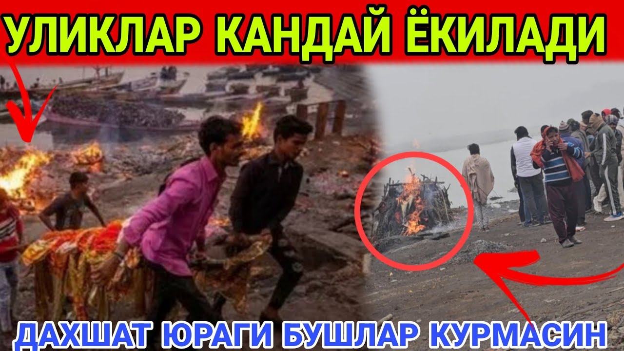 ДАХШАТ ТИРИК ОДАМНИ ЁКИБ....ФАКАТ КАТТАЛАР КУРСИН ГАНГА ДАРЁ....18 + ВИДЕО 