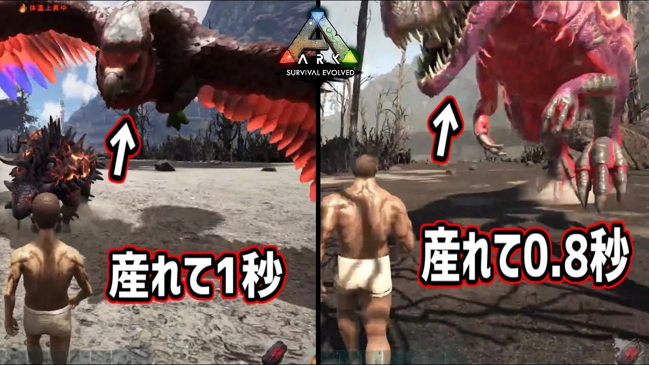 リスキルRTA記録保持者、加藤純一【2022/07/10】