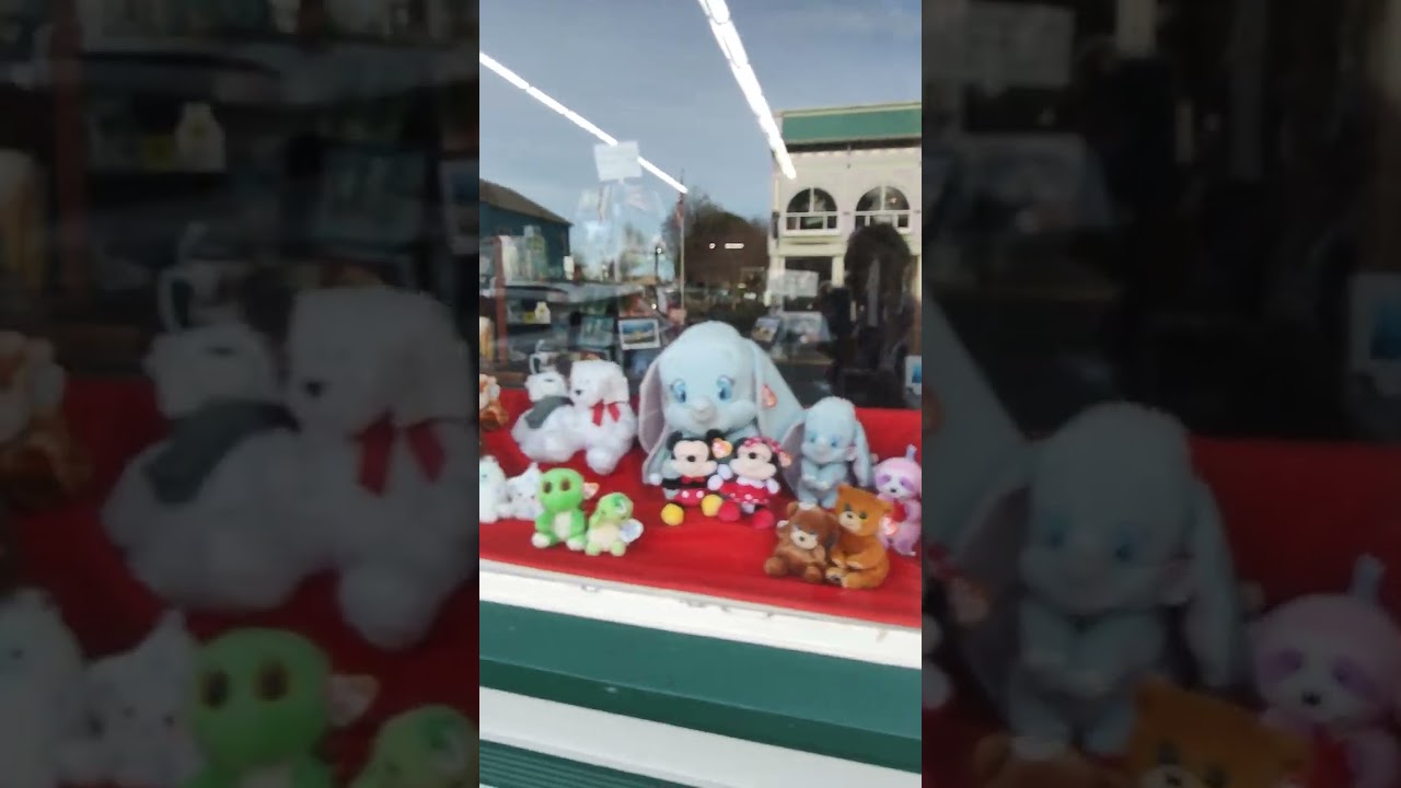 Walking Tour Of Historic Downtown Ferndale, California!