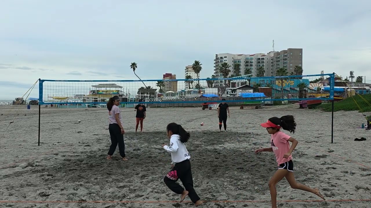 Cáscaras Rosarito 