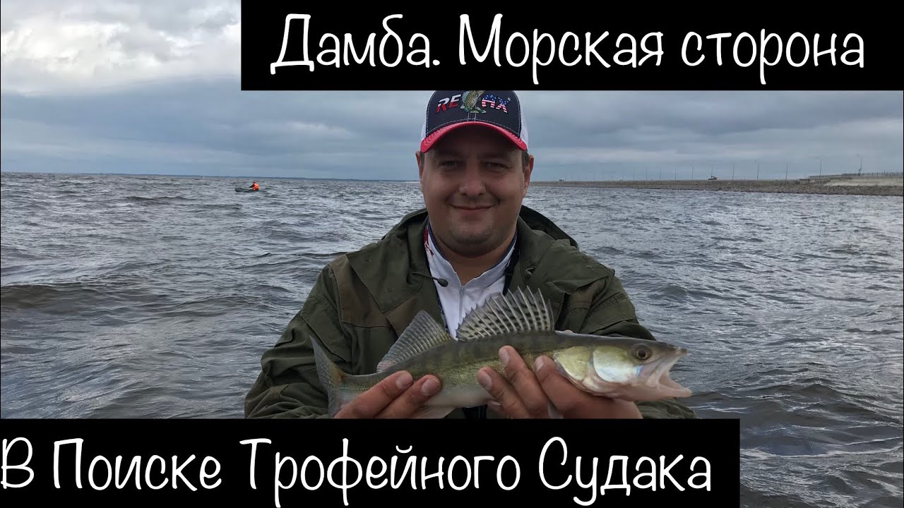 Финский Залив. В поиске трофейного Судака.