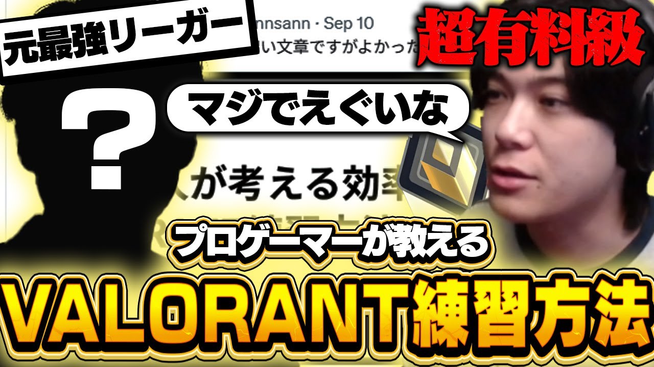 【超有料級】真似するだけで上手くなる。元最強リーガーが考えるエイム上達法とは【VALORANT/ヴァロラント】