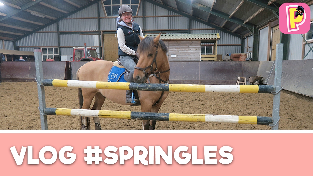 Springles met Felinehoi & Marley | Vlog #1| Penny TV