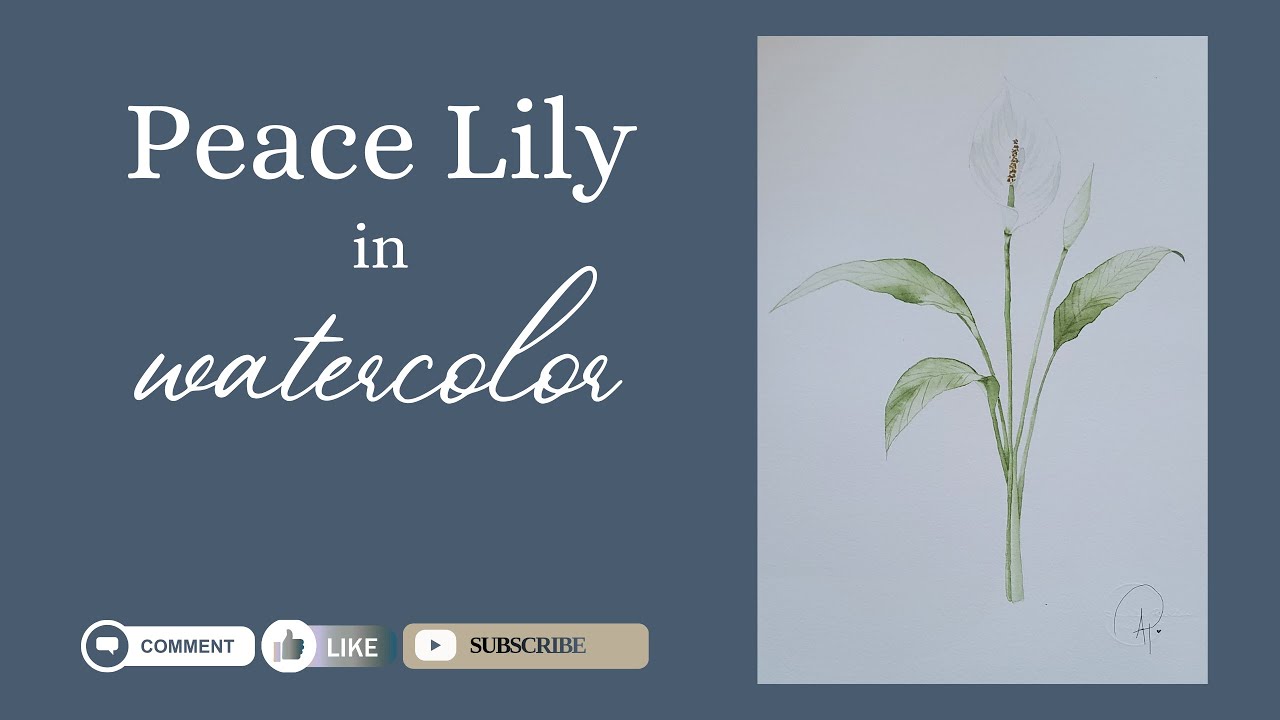 Peace Lily in Watercolor Tutorial