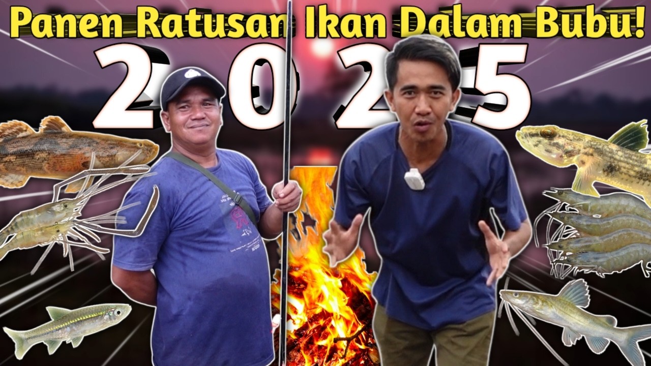 MANCING, PASANG BUBU DAN BAKAR IKAN TERBESAR HASIL BERTUALANG DI MALAM TAHUN BARU