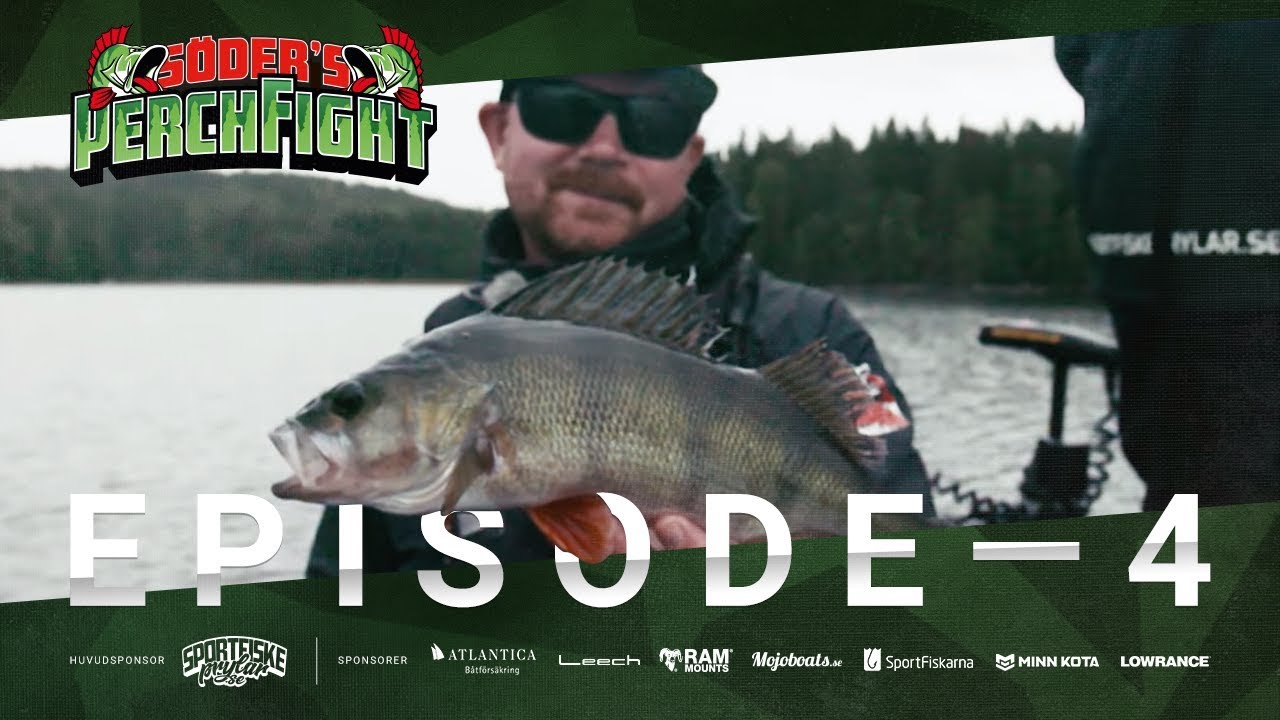 Perch Fight 2019 -  Episode 4