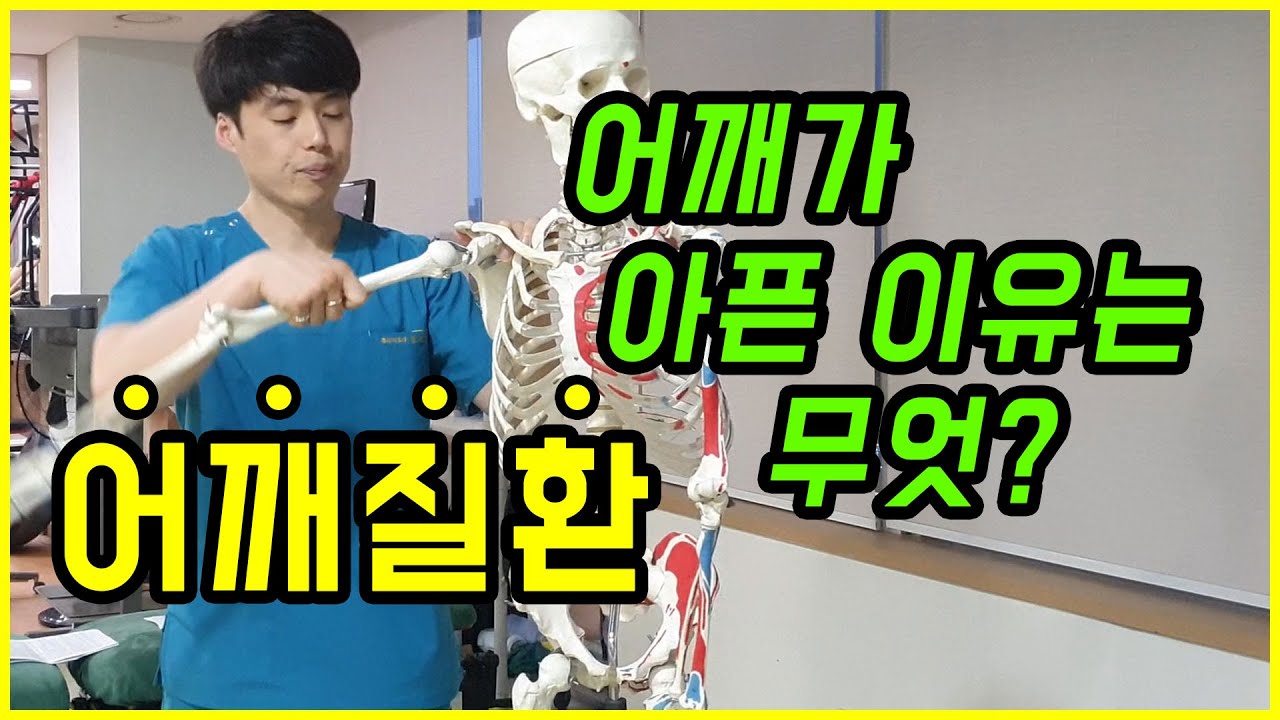 내 어깨가 아픈 이유, 어깨질환 9가지 종류 : 충돌증후군, 회전근개증후군, 극상근건염,석회화건염, 이두근건염,점액낭염,슬랩,방카르트,오십견