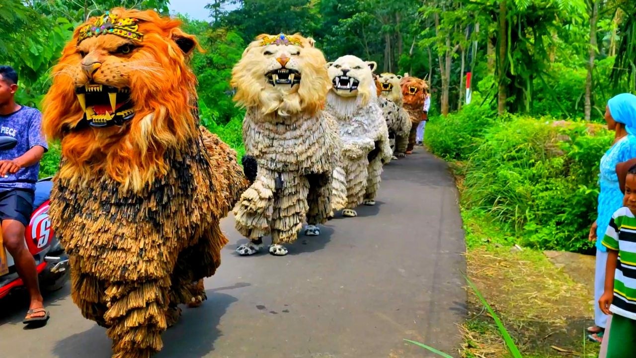 🔴LIVE | can macanan singo raung cilik Di undang acara imtihan tampil sangat meriah full penonton