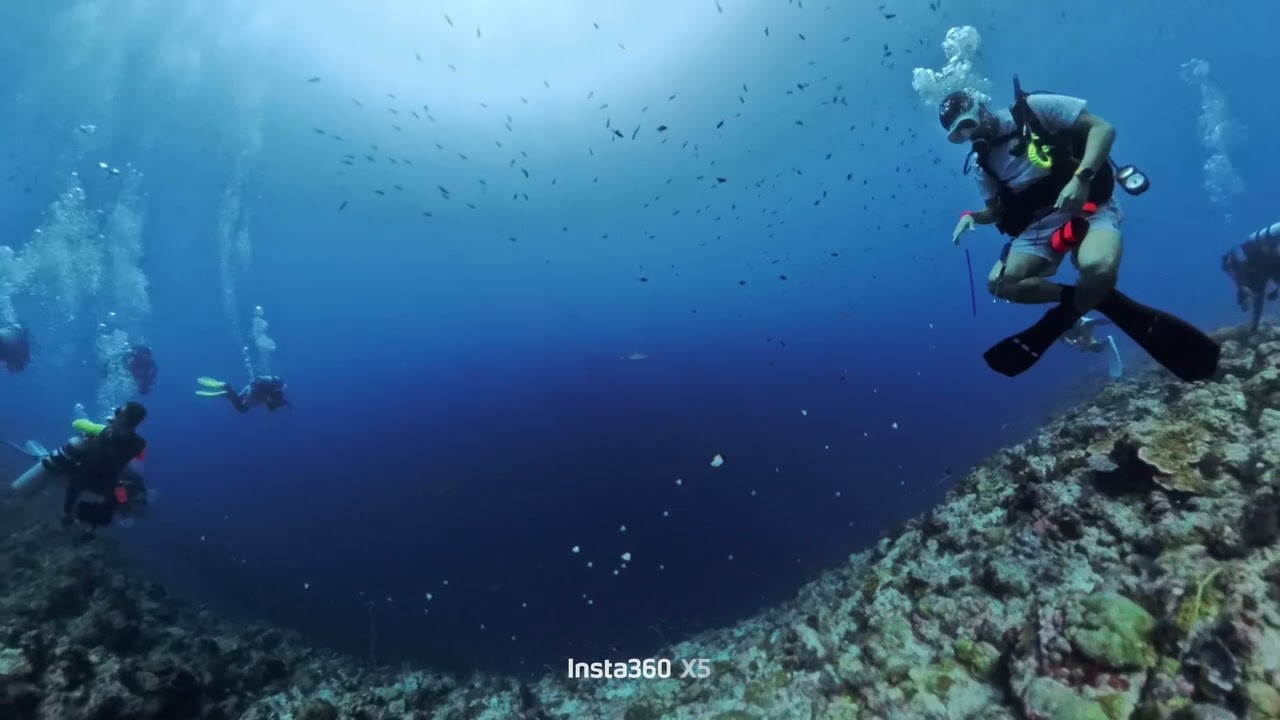 Palau 0214 blue corner