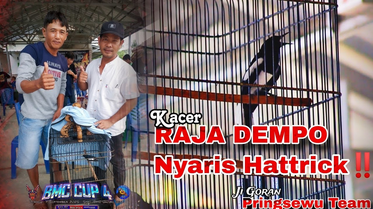 Ngotot abis‼️😱 Kacer RajaDempo ji Ghoran nyaris Hattrick ‼️BMC CUP 4