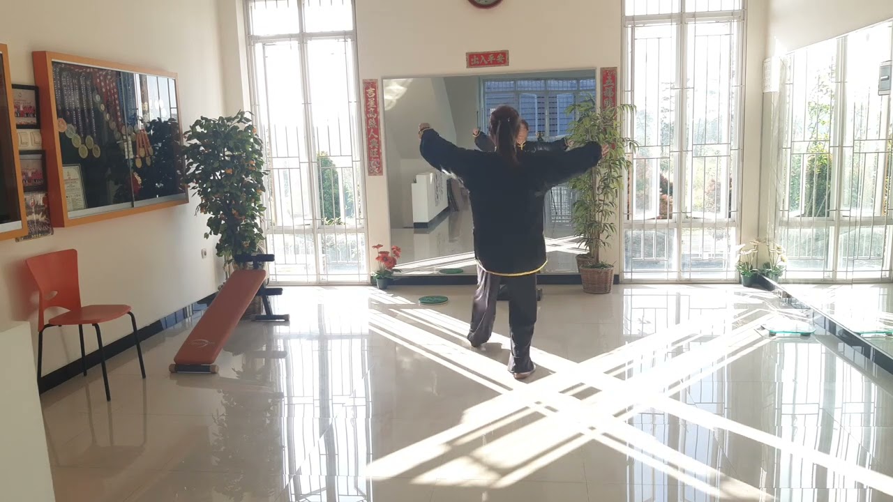 Taiji Yang Sheng Gong with Fornas Instrument ( Back View )