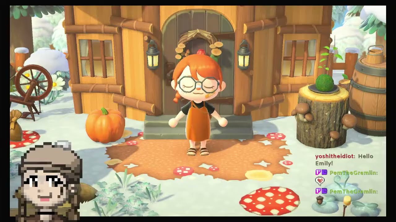 Animal Crossing 3.0 Update!!!!