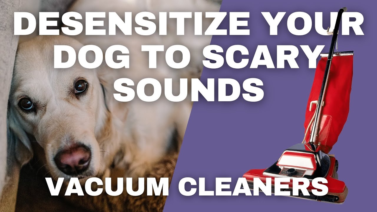Dog Desensitization Sounds for Dogs & Puppies: Vacuum Cleaners