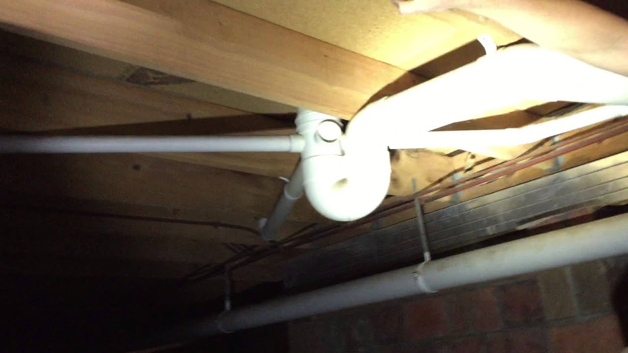 Termite inspection on Gold Coast Queensland with Pest-Ex