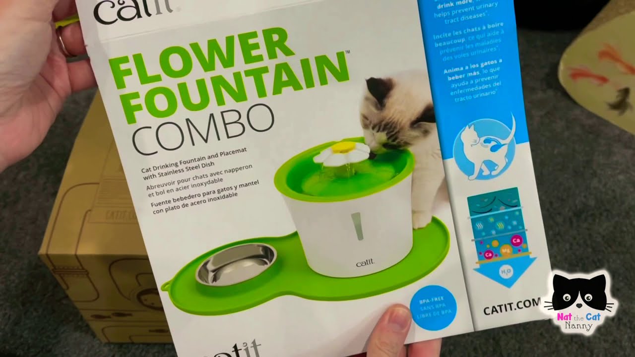 Catit Flower Fountain - UNBOX, SETUP & Get Your Cats Used To It :)