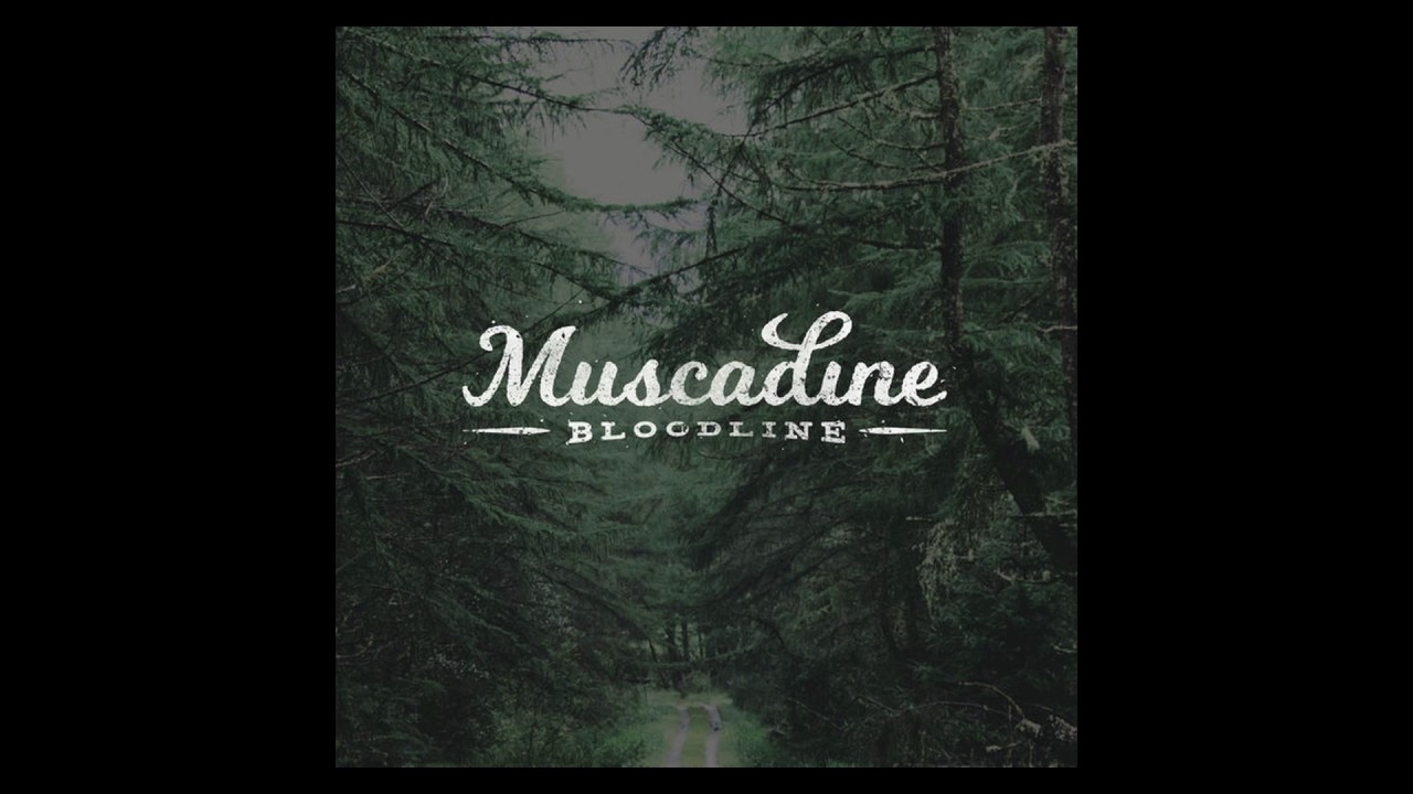 CB Radio - Muscadine Bloodline