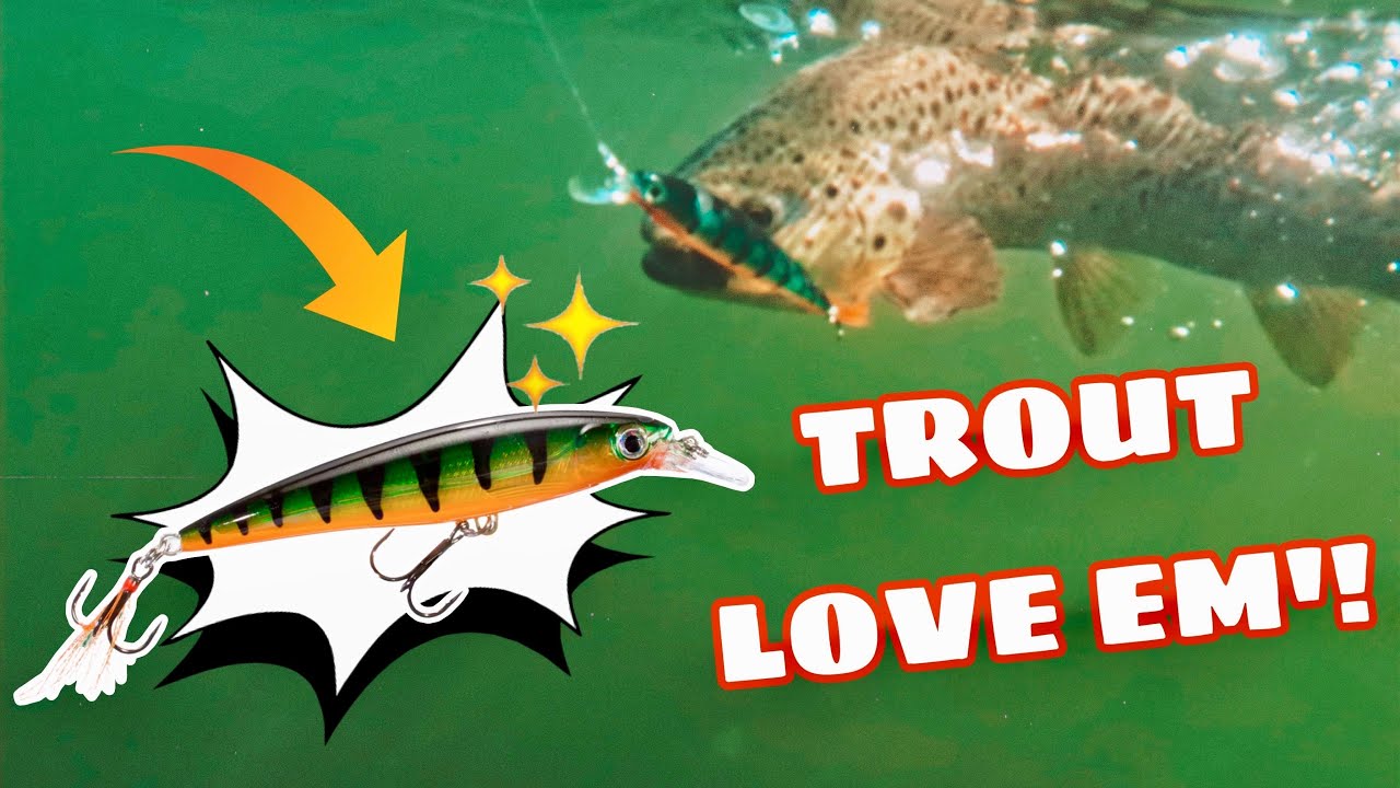 Rapala X-Rap Trout Fishing! NON STOP ACTION! Fisherguy Ry