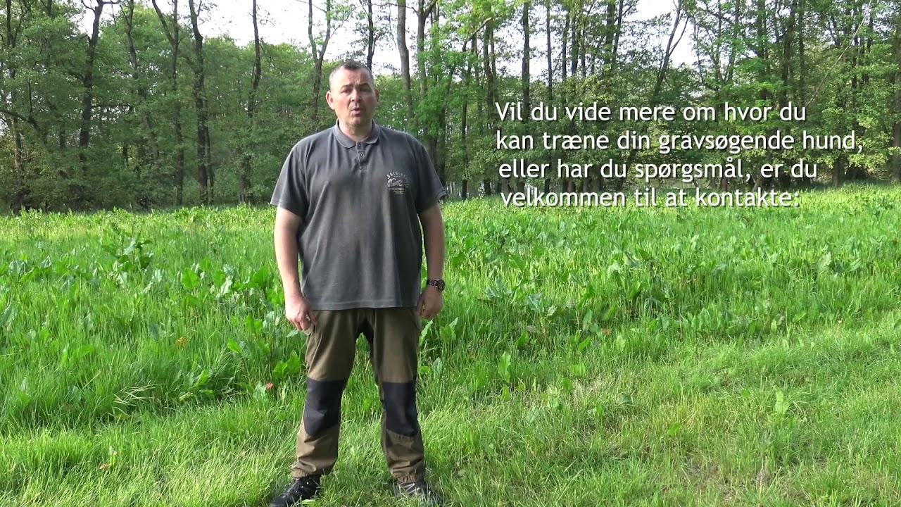 Gravs&oslash;gende tr&aelig;ning i Danmarks J&aelig;gerforbund