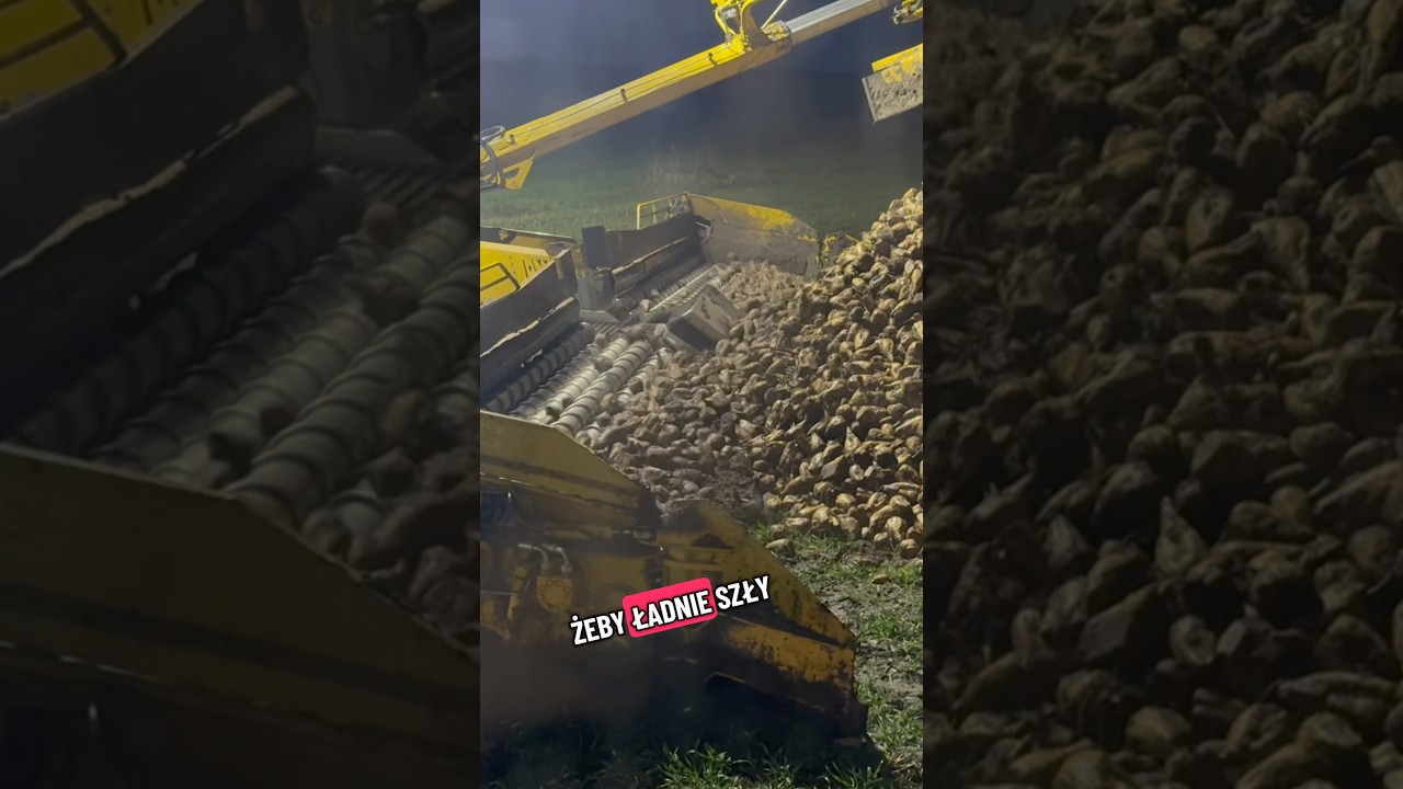Dokładnie to robi operator przed rozpoczęciem każdej pryzmy 😂 #operator