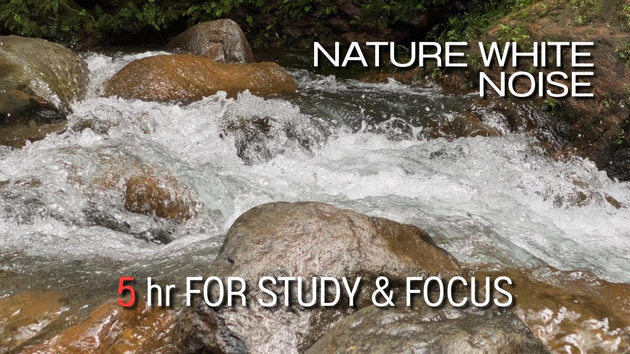 Nature White Noise | Forest River - Stream Sounds for Sleeping - No Birds - Water Flowing 5 Hour