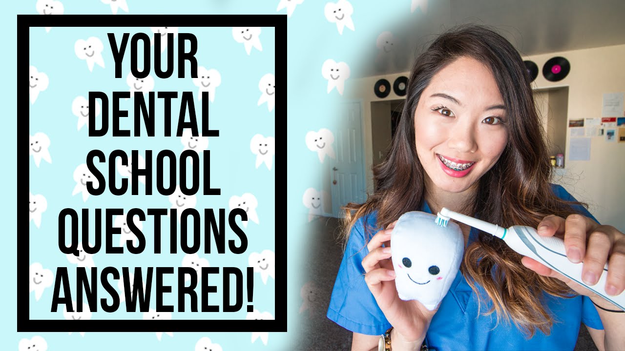 Your Dental School Questions Answered!
