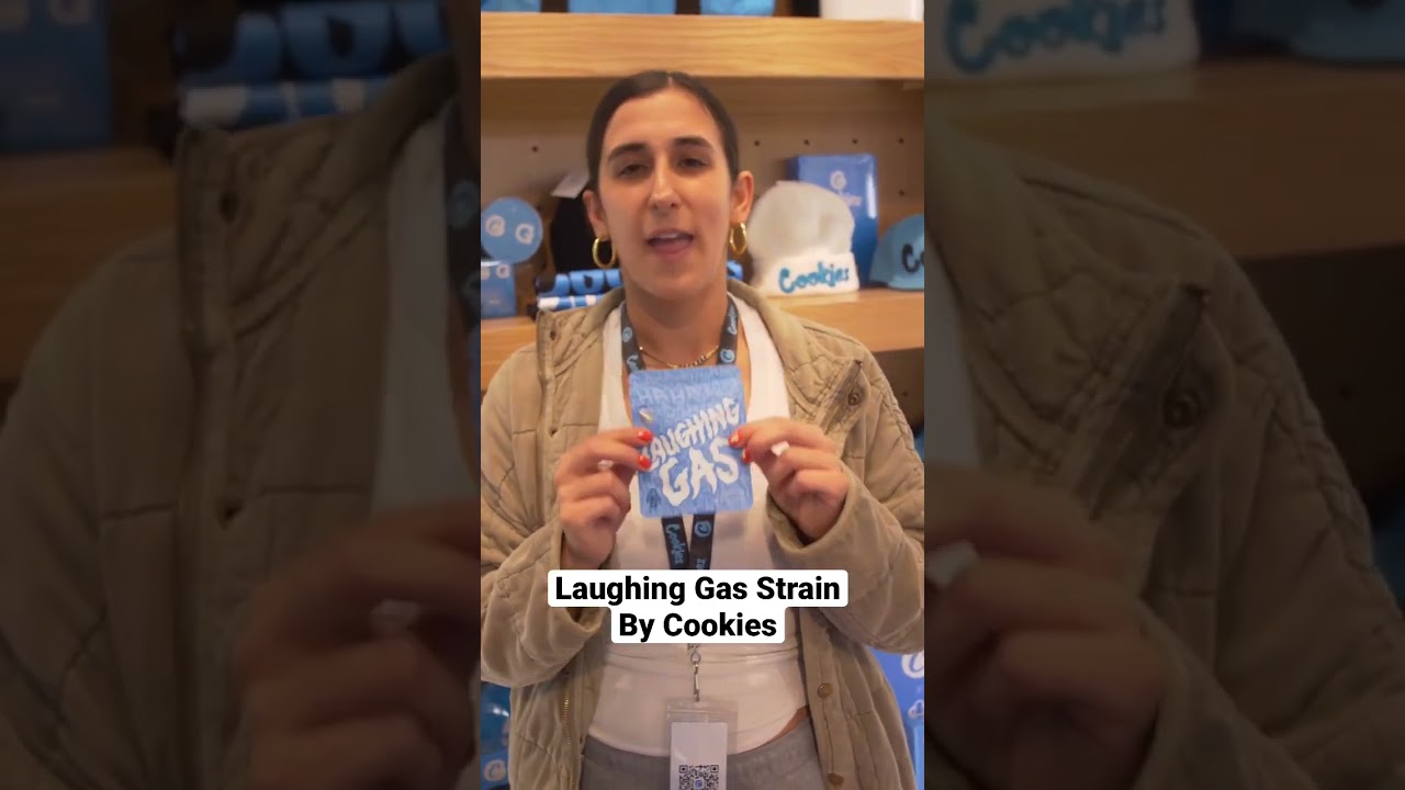 Laughing Gas Strain Review Ft. Cookies Brentwood Weed Dispensary #shorts #420