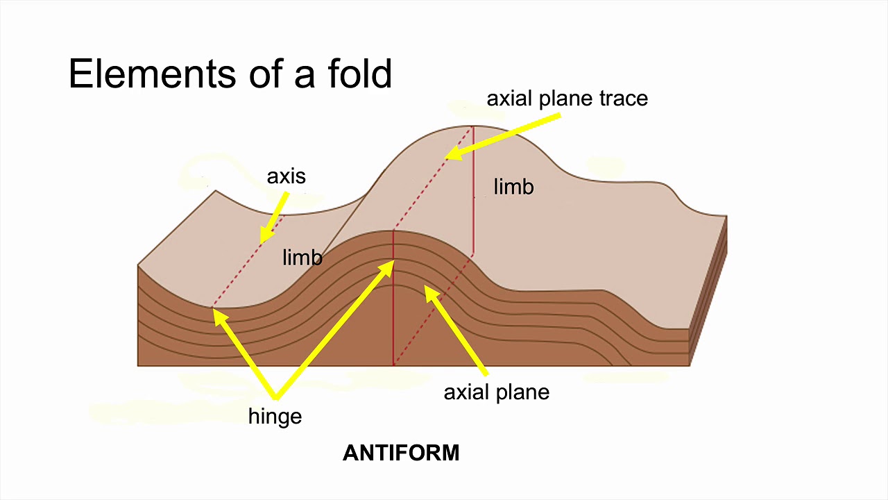 Elements of Folds