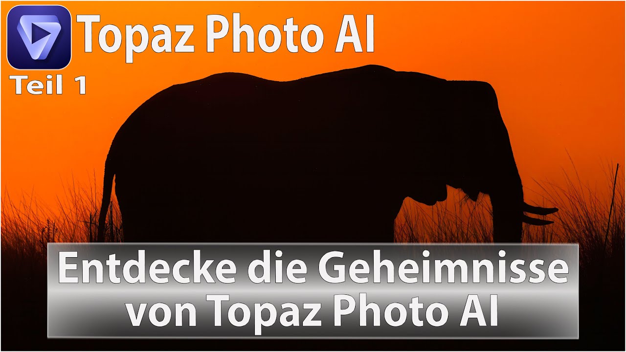 Entdecke die Geheimnisse von Topaz Photo AI - Teil 1