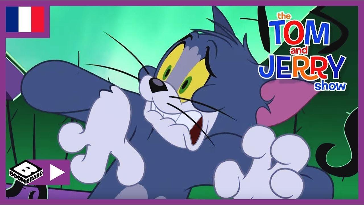 Tom et Jerry show en français | Tom et Jerry contre le pirate