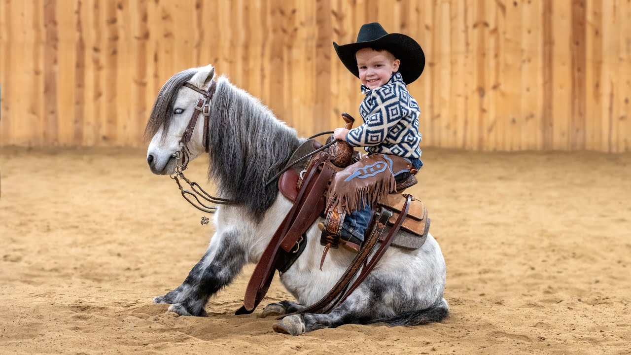 Pepper 8 year old 34inch Gelding Pony - Bid.schmitthorseranch.com Bidding ends Jan 22