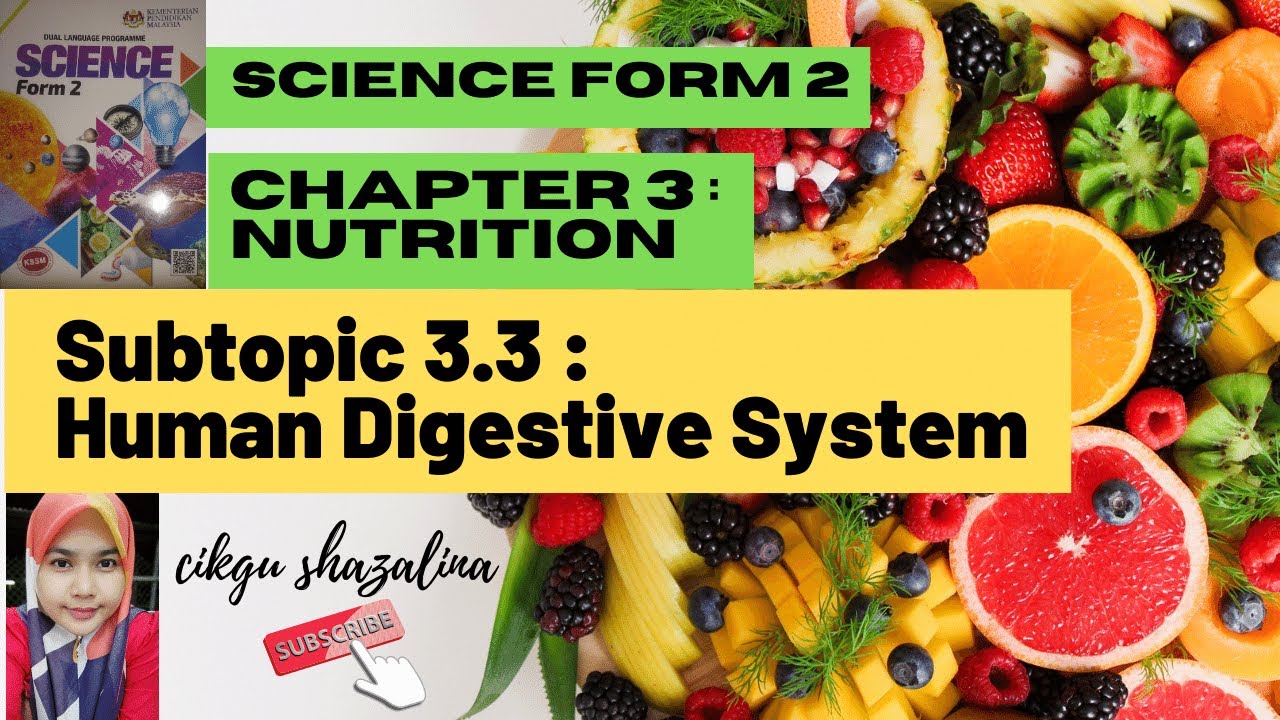 SCIENCE FORM 2 CHAPTER 3, SUBTOPIC 3.3 : HUMAN DIGESTIVE SYSTEM