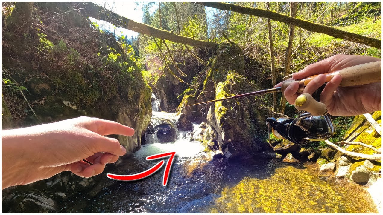 Ce RUISSEAU SAUVAGE très ANCIEN n'a JAMAIS été PÊCHER AUPARAVANT, il dévoile TOUTES ses SURPRISES !