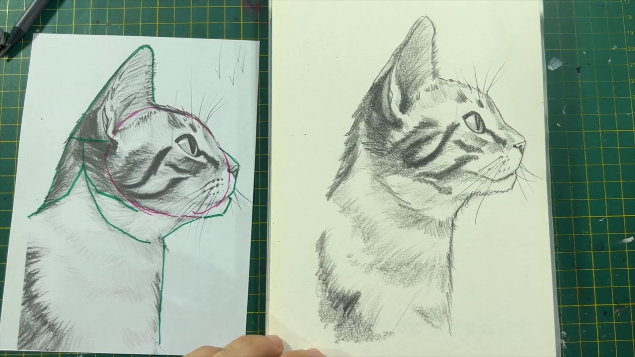Cómo dibujar un gato paso a paso ✍️😺