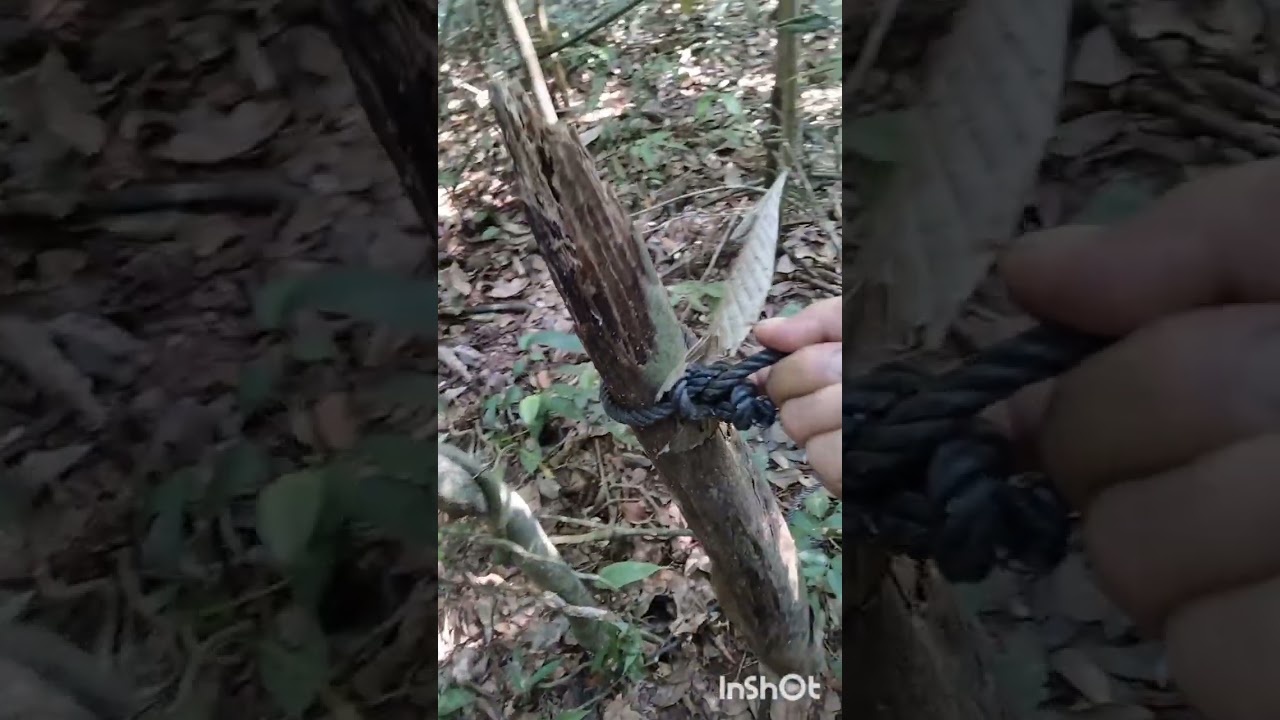 Tips ukuran dan jenis tali jerat babihutan