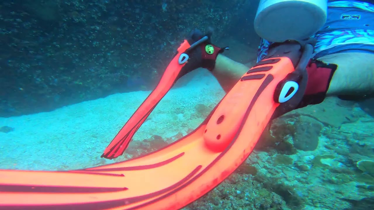 Exploring the Most Colorful Underwater World on Earth