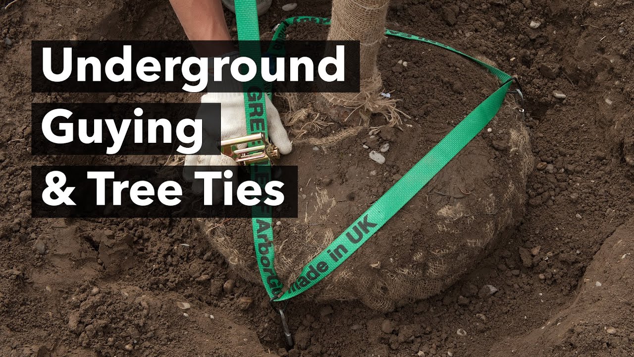 The Principles of Underground Guying