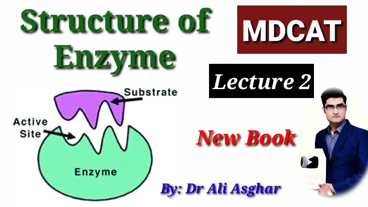 Structure of Enzyme (New Book) MDCAT Lecture 2