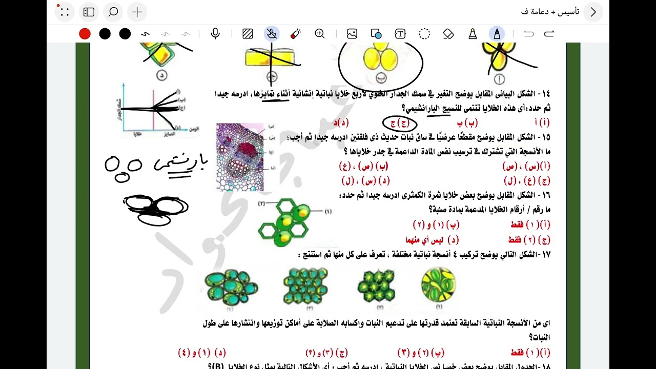 حل اسئلة الدعامة في النبات عصير الكتب
