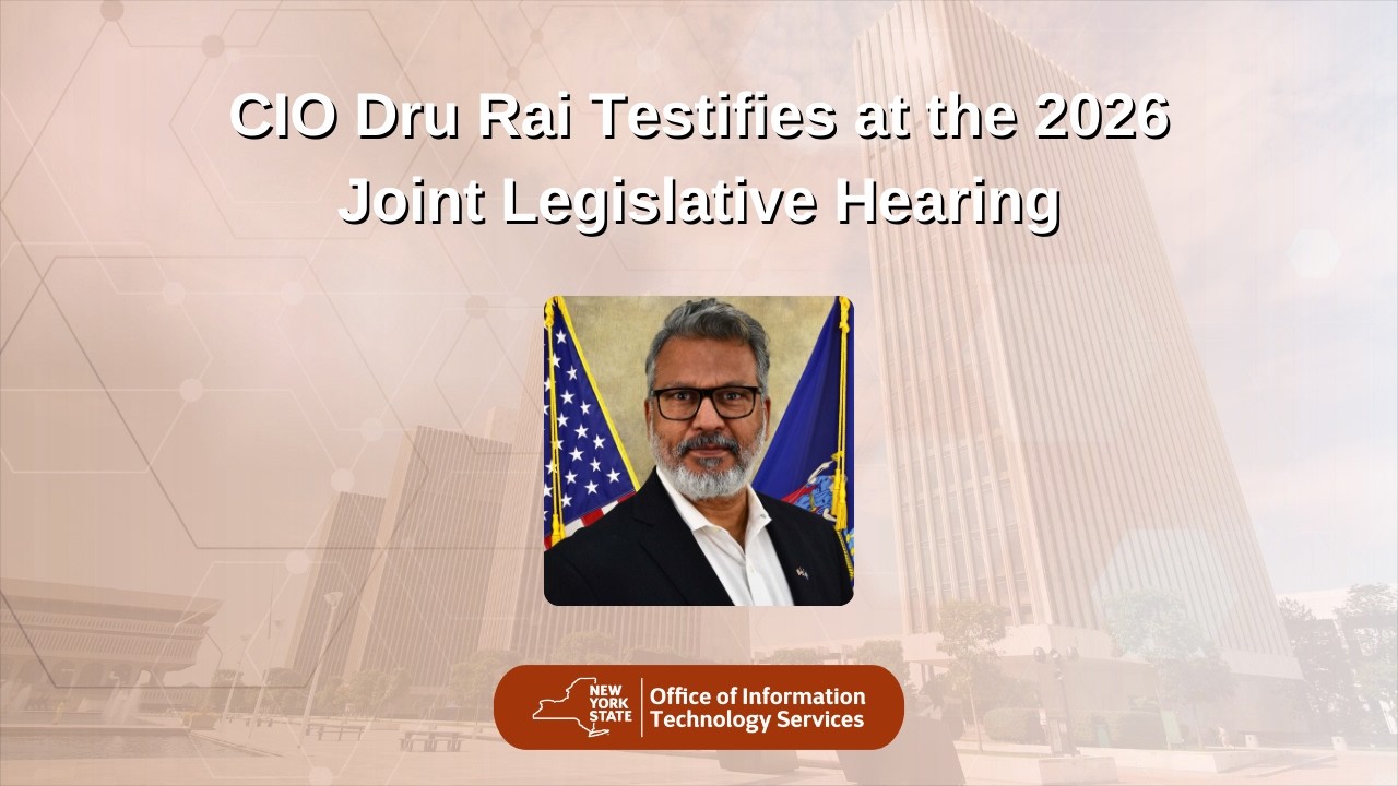 CIO Dru Rai Testifies at the 2026 Joint Legislative Hearing