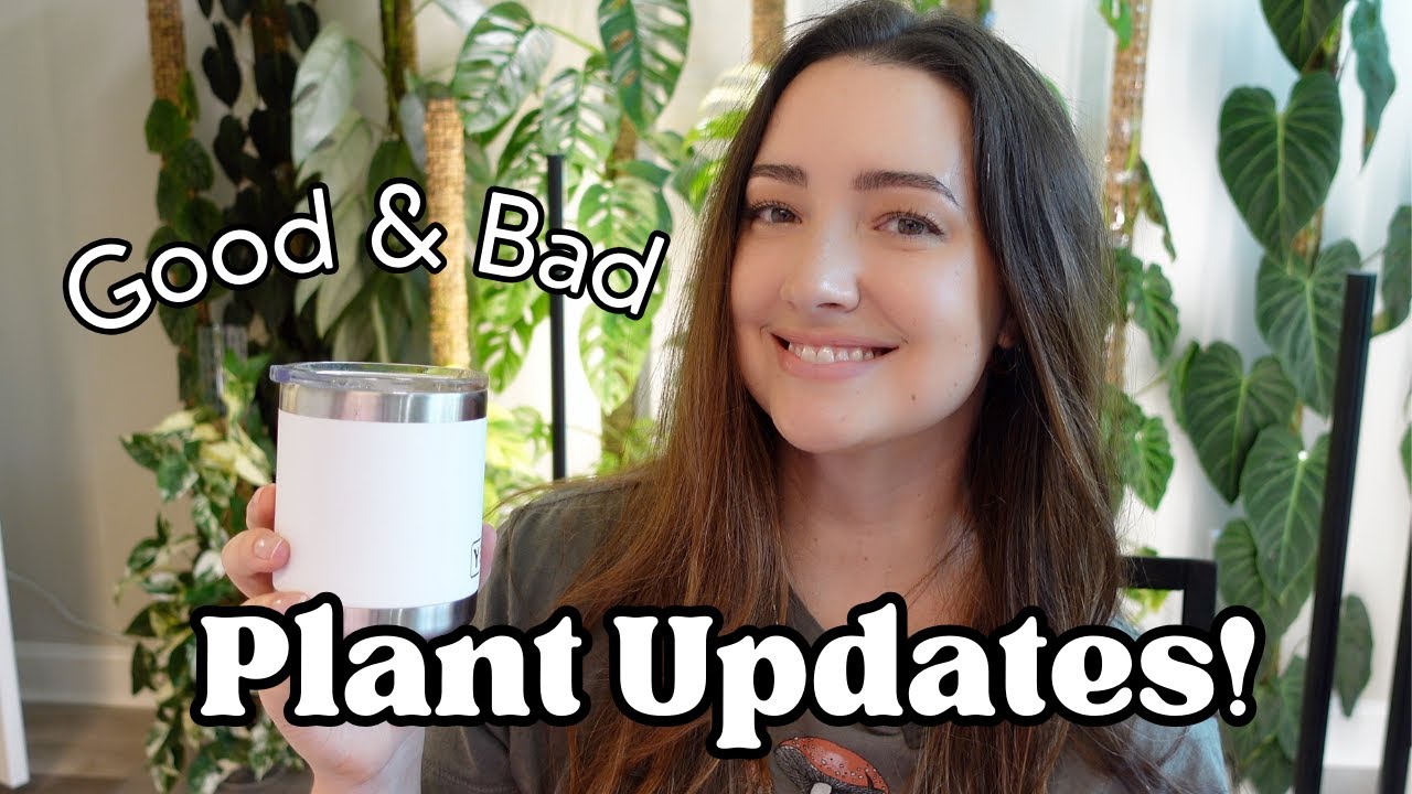 All the Plant Updates! What is going well and what is not 😬 August 2023