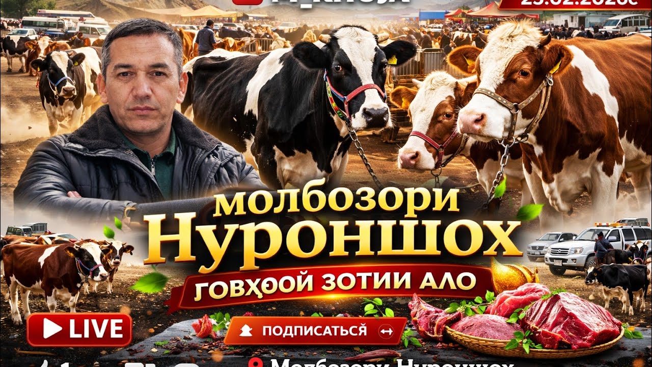 Говҳои зоти Чёрный пиёстр дар бозори Нуроншоҳ 