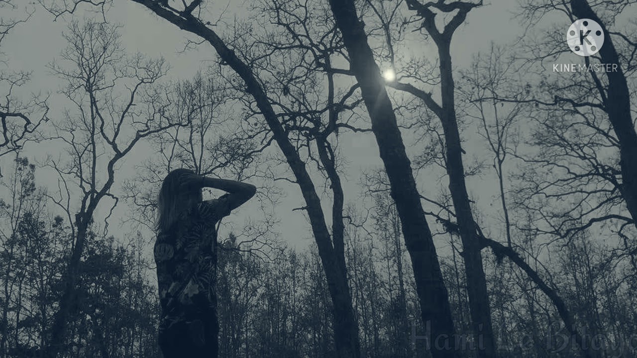 Rooit Newa - Samjhera (official song) lyrics video.