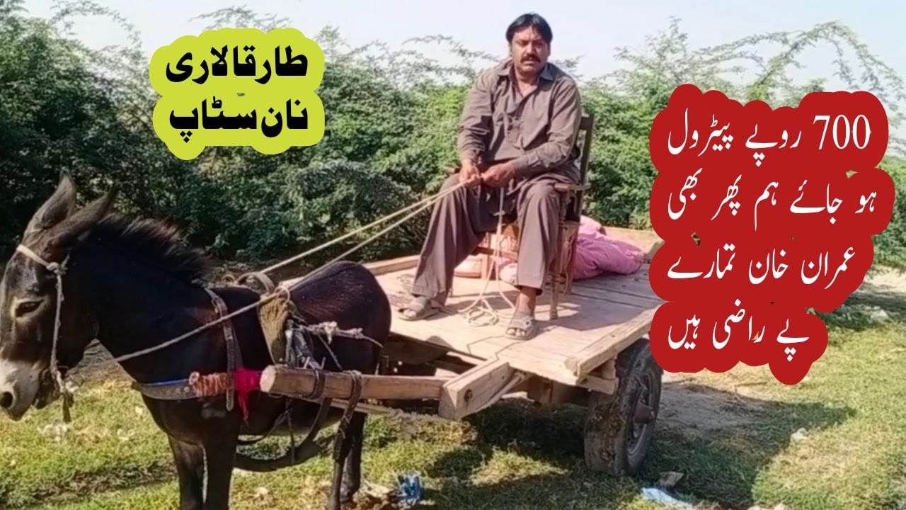 Tarqa Lari Non Stop Funny Video