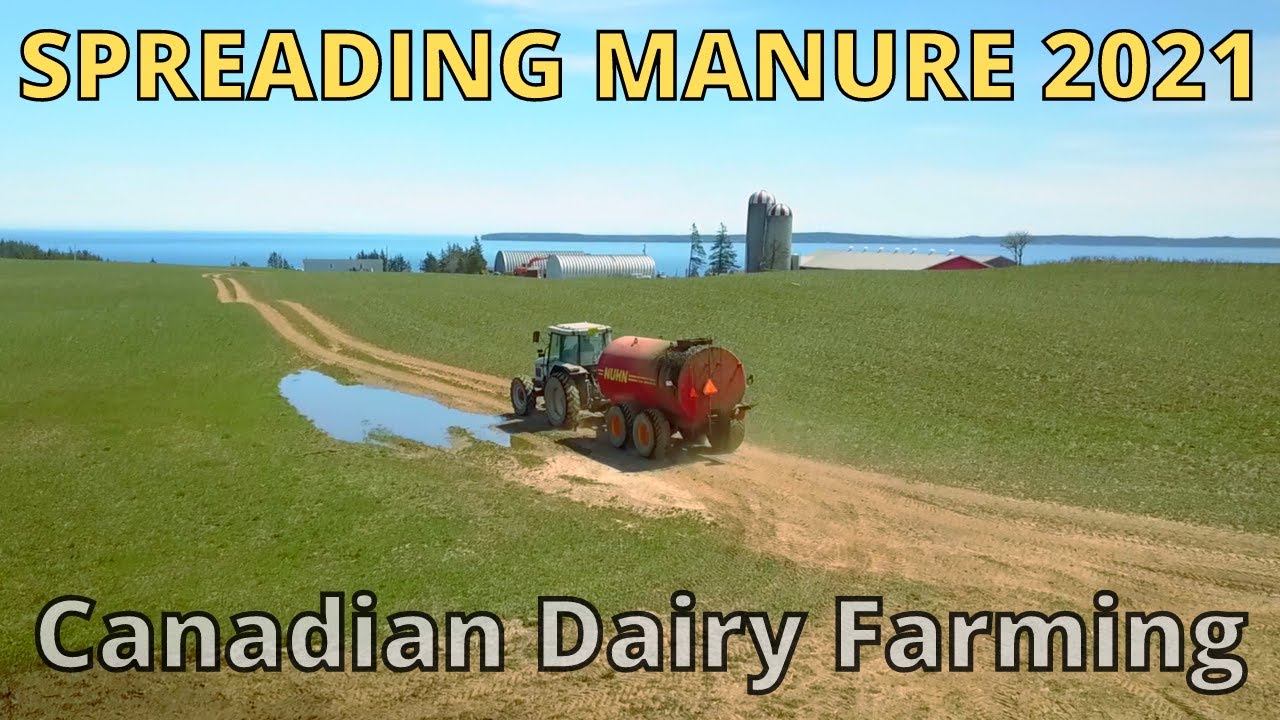Spreading Manure on Fields Prior To Planting, Nova Scotia Canada