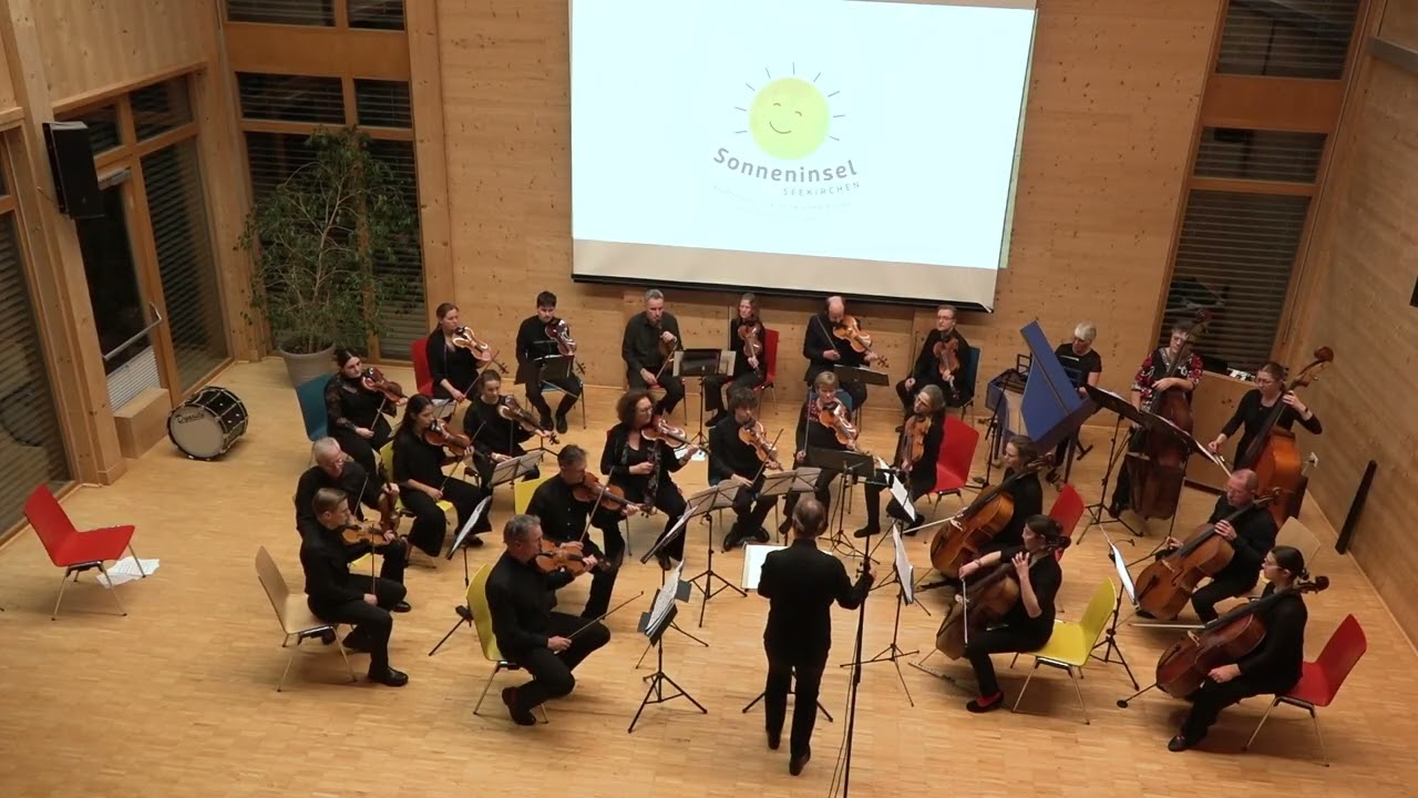 Antonio Vivaldi (1678-1741): Konzert h-Moll