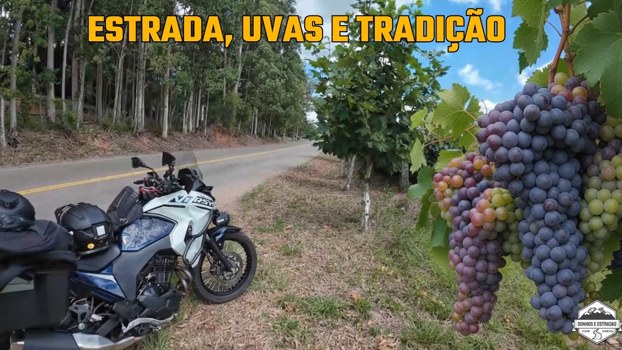 De Moto entre parreiras | Vindima em Nova Roma do Sul