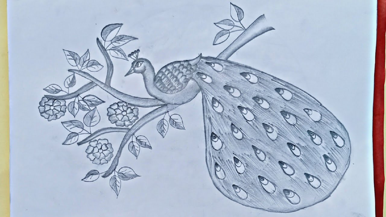 Easy peacock drawing/मोर का चित्र how to draw a peacock/very easy step by step banana sikhe pencil.