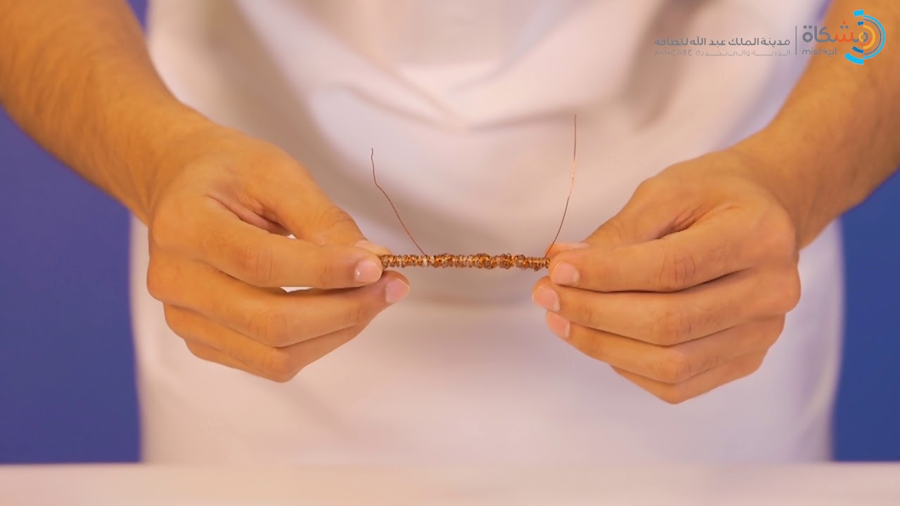 Magnet Screw | مسمار المغناطيس